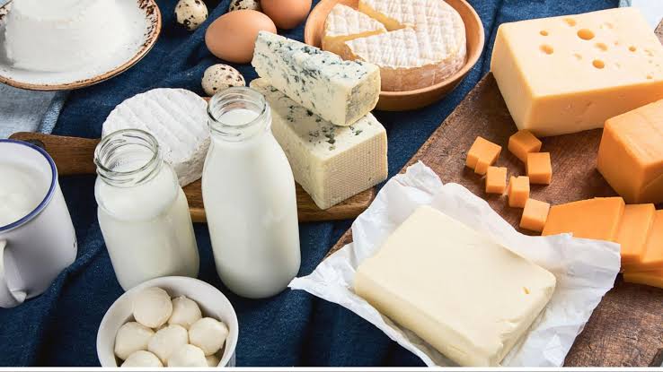 Assortment of cheese, butter and dairy products