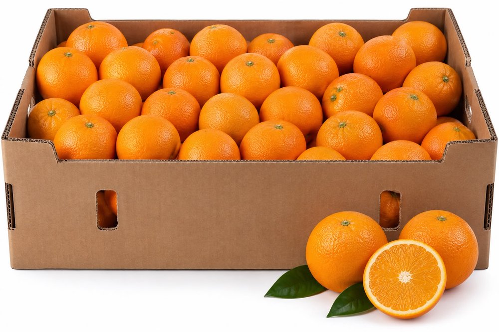 Fresh Egyptian Oranges